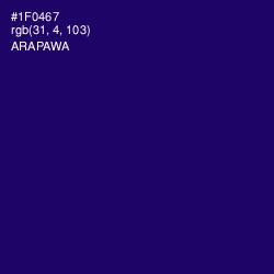 #1F0467 - Arapawa Color Image
