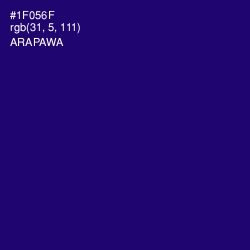 #1F056F - Arapawa Color Image