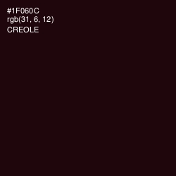 #1F060C - Creole Color Image