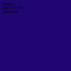 #1F0671 - Arapawa Color Image