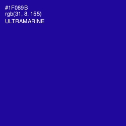 #1F089B - Ultramarine Color Image