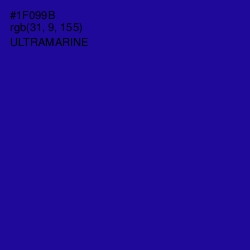 #1F099B - Ultramarine Color Image