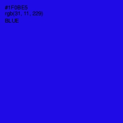 #1F0BE5 - Blue Color Image