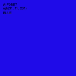 #1F0BE7 - Blue Color Image