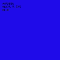 #1F0BEA - Blue Color Image