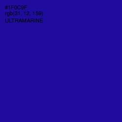 #1F0C9F - Ultramarine Color Image