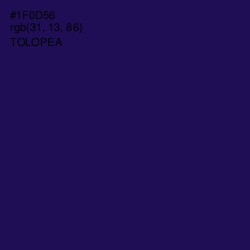 #1F0D56 - Tolopea Color Image