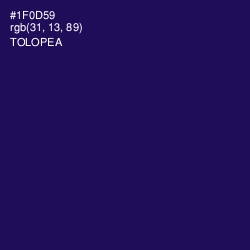 #1F0D59 - Tolopea Color Image