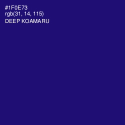#1F0E73 - Deep Koamaru Color Image