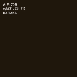 #1F170B - Karaka Color Image