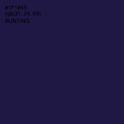 #1F1845 - Bunting Color Image