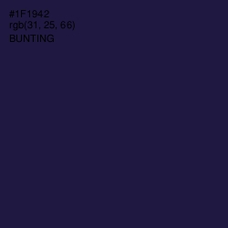 #1F1942 - Bunting Color Image