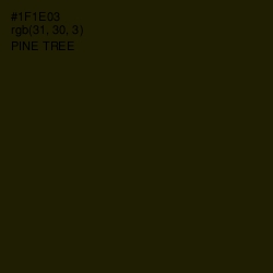 #1F1E03 - Pine Tree Color Image