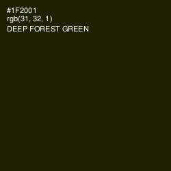 #1F2001 - Deep Forest Green Color Image