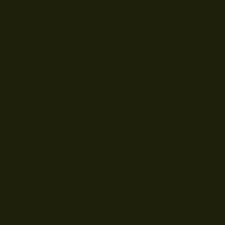 #1F200B - Deep Forest Green Color Image