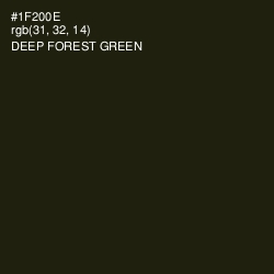 #1F200E - Deep Forest Green Color Image