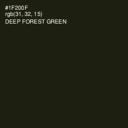 #1F200F - Deep Forest Green Color Image