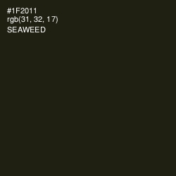 #1F2011 - Seaweed Color Image
