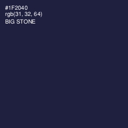 #1F2040 - Big Stone Color Image