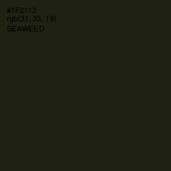 #1F2112 - Seaweed Color Image