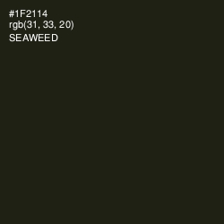 #1F2114 - Seaweed Color Image