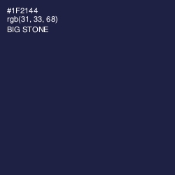 #1F2144 - Big Stone Color Image