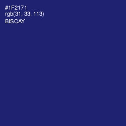 #1F2171 - Biscay Color Image