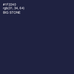 #1F2240 - Big Stone Color Image