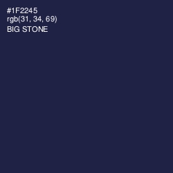 #1F2245 - Big Stone Color Image