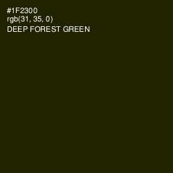 #1F2300 - Deep Forest Green Color Image