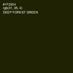 #1F2304 - Deep Forest Green Color Image