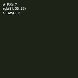 #1F2317 - Seaweed Color Image