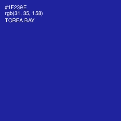 #1F239E - Torea Bay Color Image