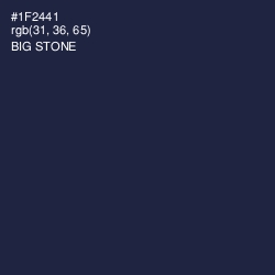 #1F2441 - Big Stone Color Image