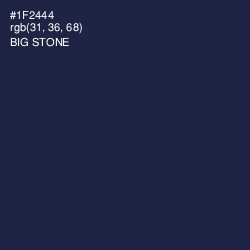 #1F2444 - Big Stone Color Image