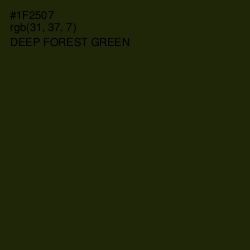 #1F2507 - Deep Forest Green Color Image