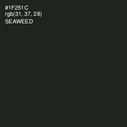 #1F251C - Seaweed Color Image