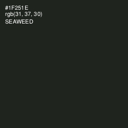 #1F251E - Seaweed Color Image