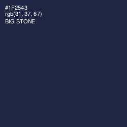 #1F2543 - Big Stone Color Image