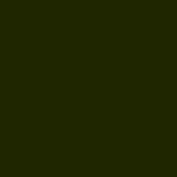 #1F2600 - Deep Forest Green Color Image