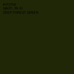 #1F2706 - Deep Forest Green Color Image