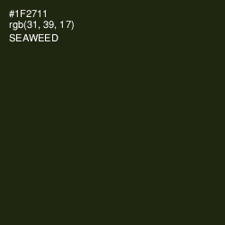 #1F2711 - Seaweed Color Image