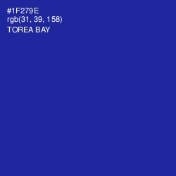 #1F279E - Torea Bay Color Image