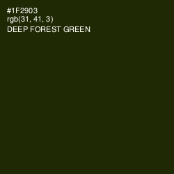 #1F2903 - Deep Forest Green Color Image