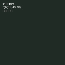 #1F2B24 - Celtic Color Image