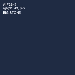 #1F2B43 - Big Stone Color Image