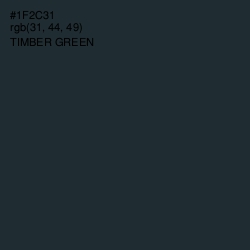 #1F2C31 - Timber Green Color Image