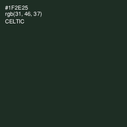 #1F2E25 - Celtic Color Image