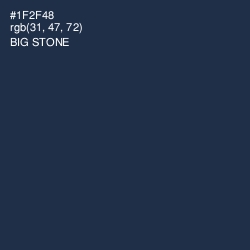 #1F2F48 - Big Stone Color Image