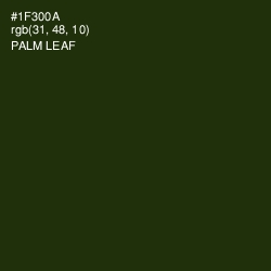 #1F300A - Palm Leaf Color Image